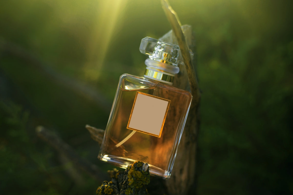 Perfume Bottle on Green Nature